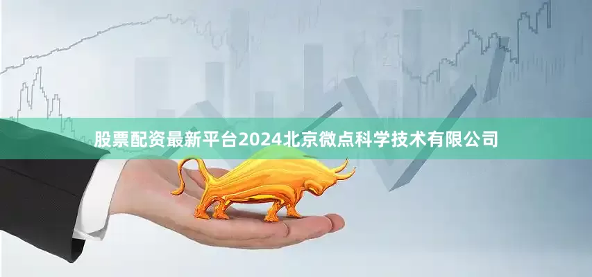 股票配资最新平台2024北京微点科学技术有限公司