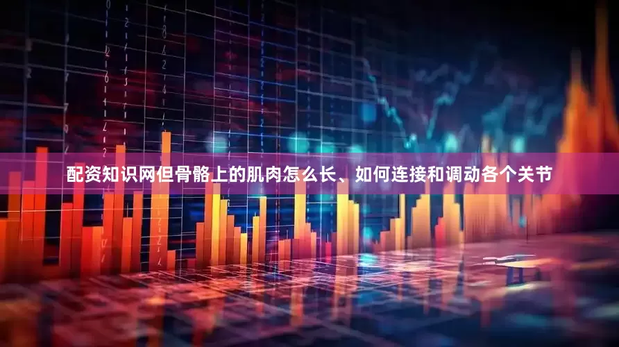 配资知识网但骨骼上的肌肉怎么长、如何连接和调动各个关节