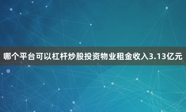 哪个平台可以杠杆炒股投资物业租金收入3.13亿元